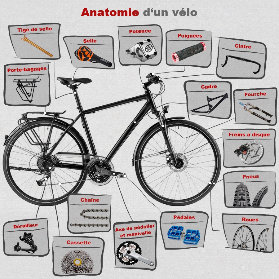 Velo.jpg